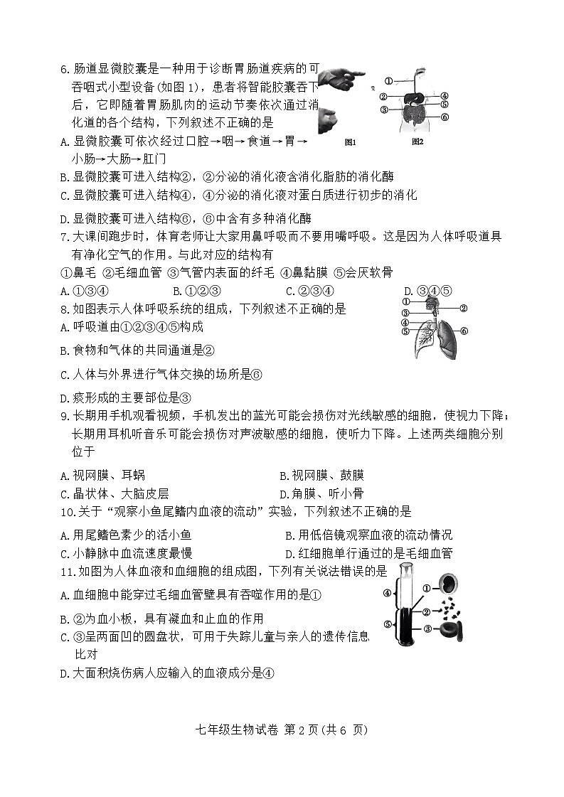 河南省商城县李集中学2023-2024学年七年级下学期期末生物试题第2页