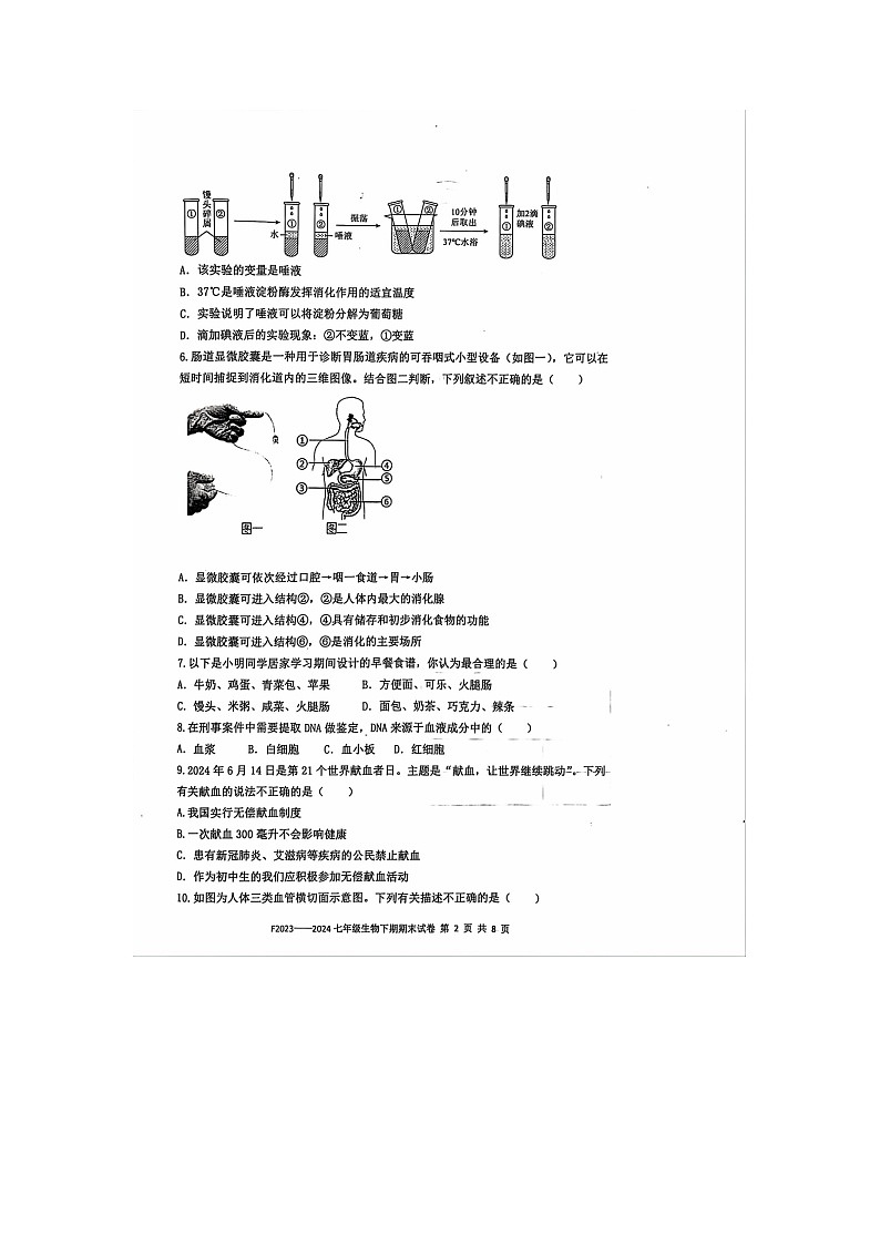河南省周口市扶沟县2023-2024学年七年级下学期7月期末生物试题第2页