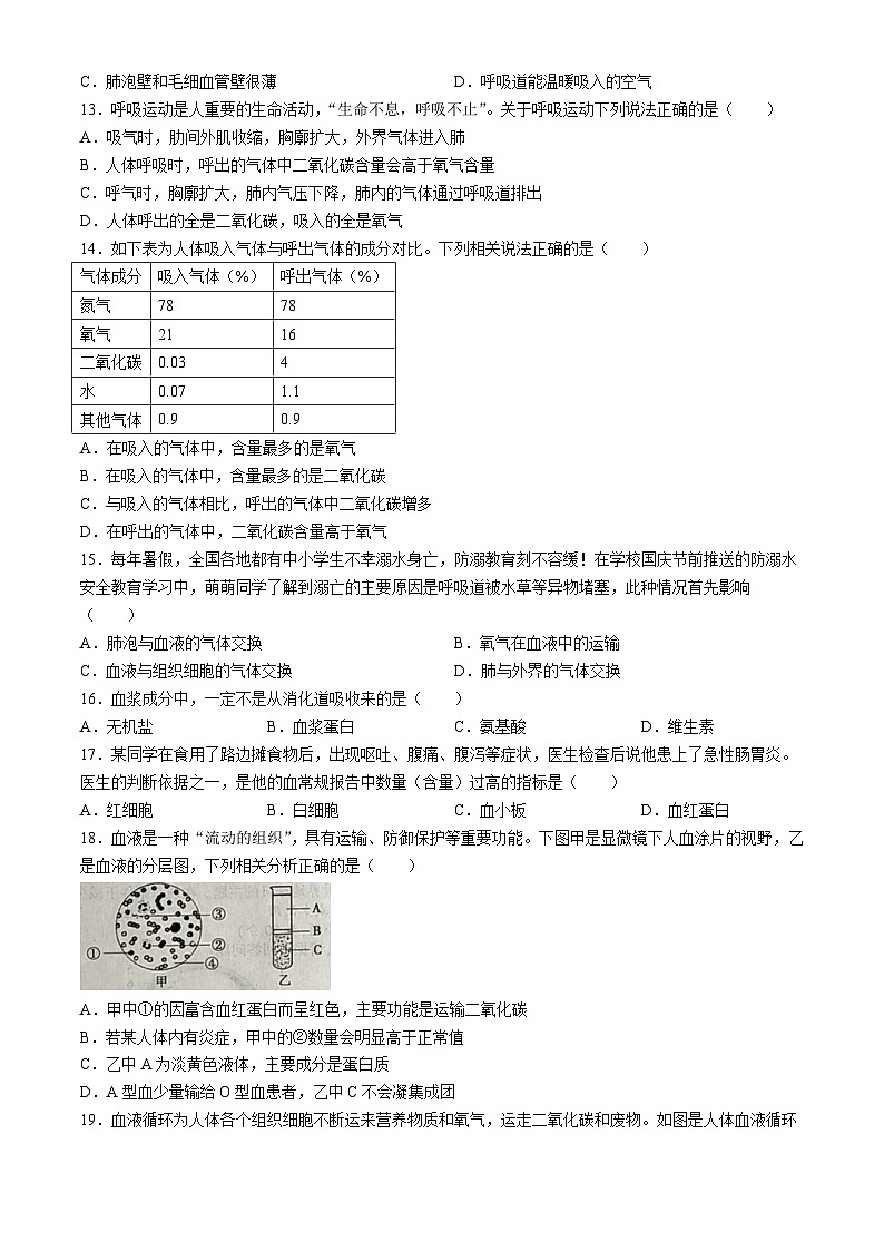 湖南省邵阳市大祥区2023-2024学年七年级下学期6月期末生物试题03