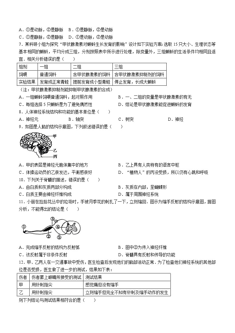 山东省枣庄市薛城区2023-2024学年七年级下学期7月期末生物试题(无答案)第2页