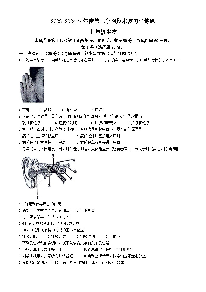 山东省淄博市高青县2023-2024学年七年级下学期7月期末生物试题(无答案)第1页