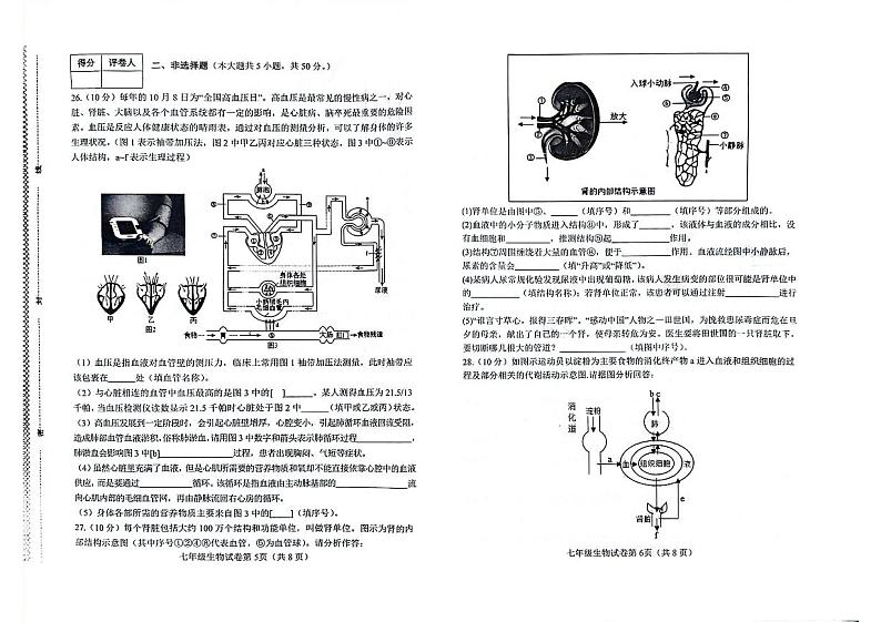 河北省邯郸市经济技术开发区2023-2024学年七年级下学期生物期末试卷第3页
