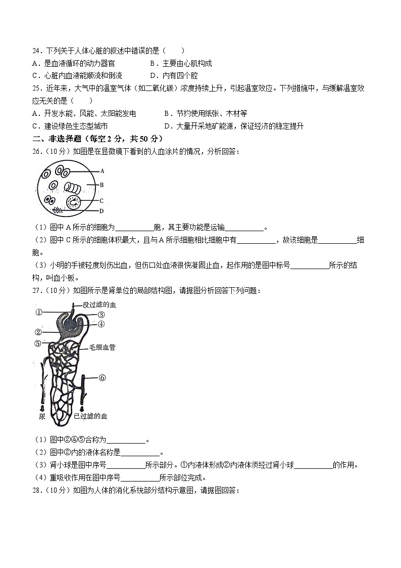湖南省衡阳市蒸湘区2023-2024学年七年级下学期7月期末生物试题03