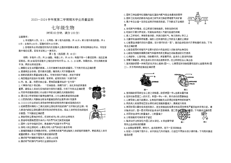 山东省潍坊市昌乐县2023-2024学年七年级下学期7月期末生物试题第1页