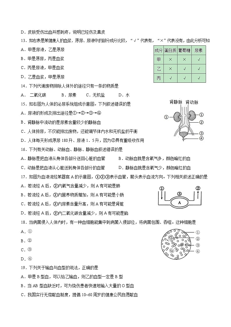 四川省广安友谊中学2023-2024学年七年级下学期期末生物试题03