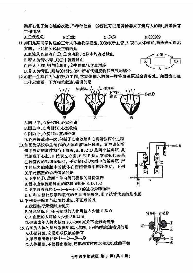 山东省临沂市平邑县2023-2024学年七年级下学期7月期末生物试题第3页