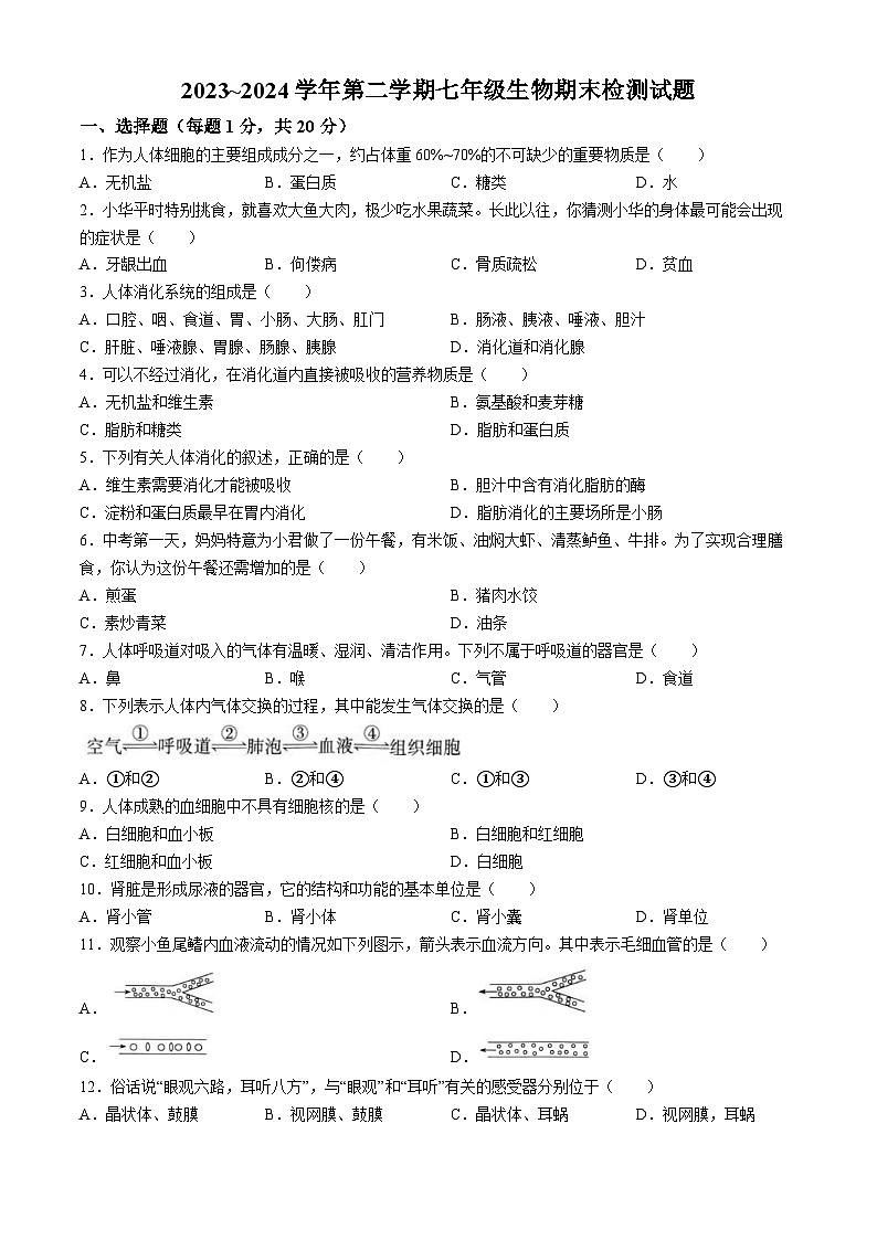 江西省吉安市峡江县2023-2024学年七年级下学期期末考试生物试题第1页