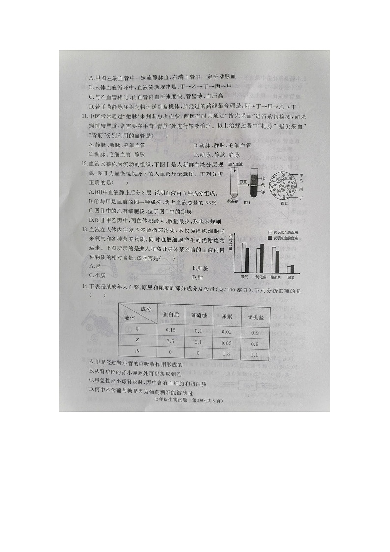 山东省济宁市曲阜市2023-2024学年七年级下学期期末生物试题03