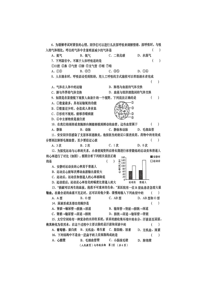 陕西省商洛市山阳县色河铺镇九年制学校2023-2024学年七年级下学期7月期末生物试题第2页