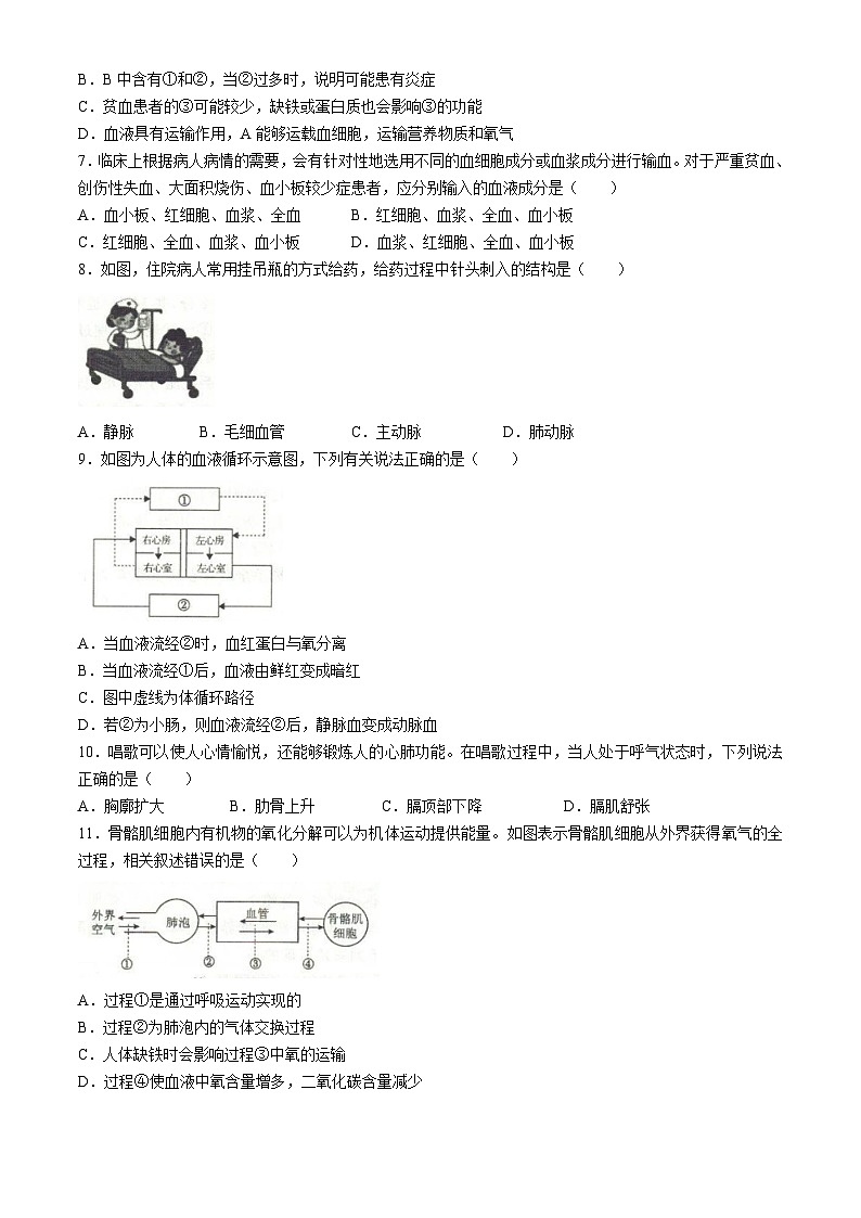 安徽省阜阳市太和县2023-2024学年七年级下学期期末考试生物试题第2页