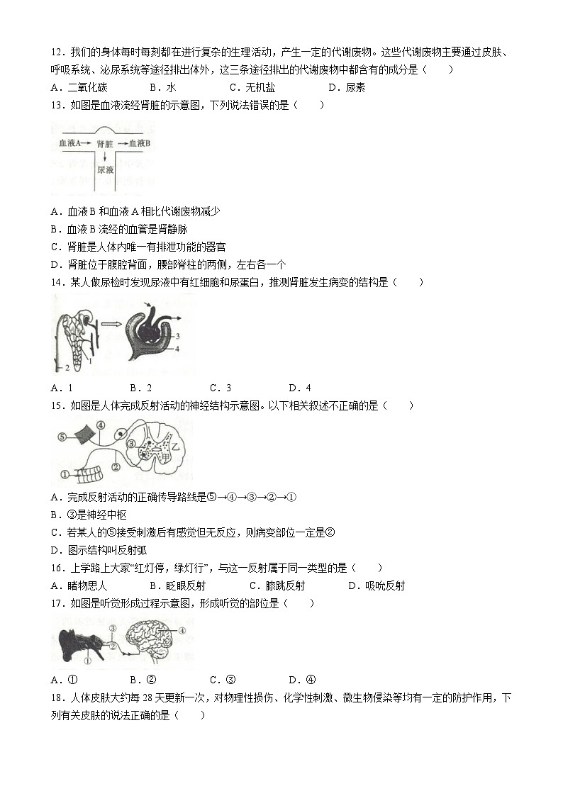 安徽省阜阳市太和县2023-2024学年七年级下学期期末考试生物试题第3页
