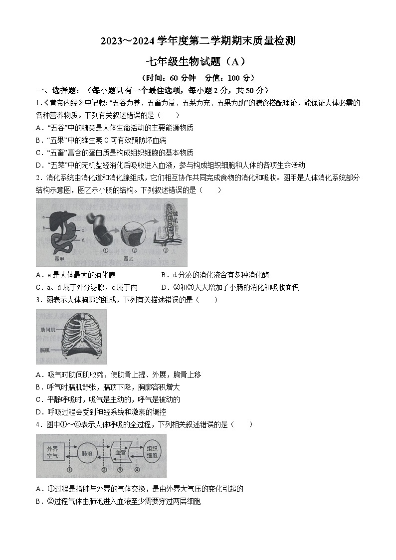 山东省滨州市滨城区2023-2024学年七年级下学期期末考试生物试题01
