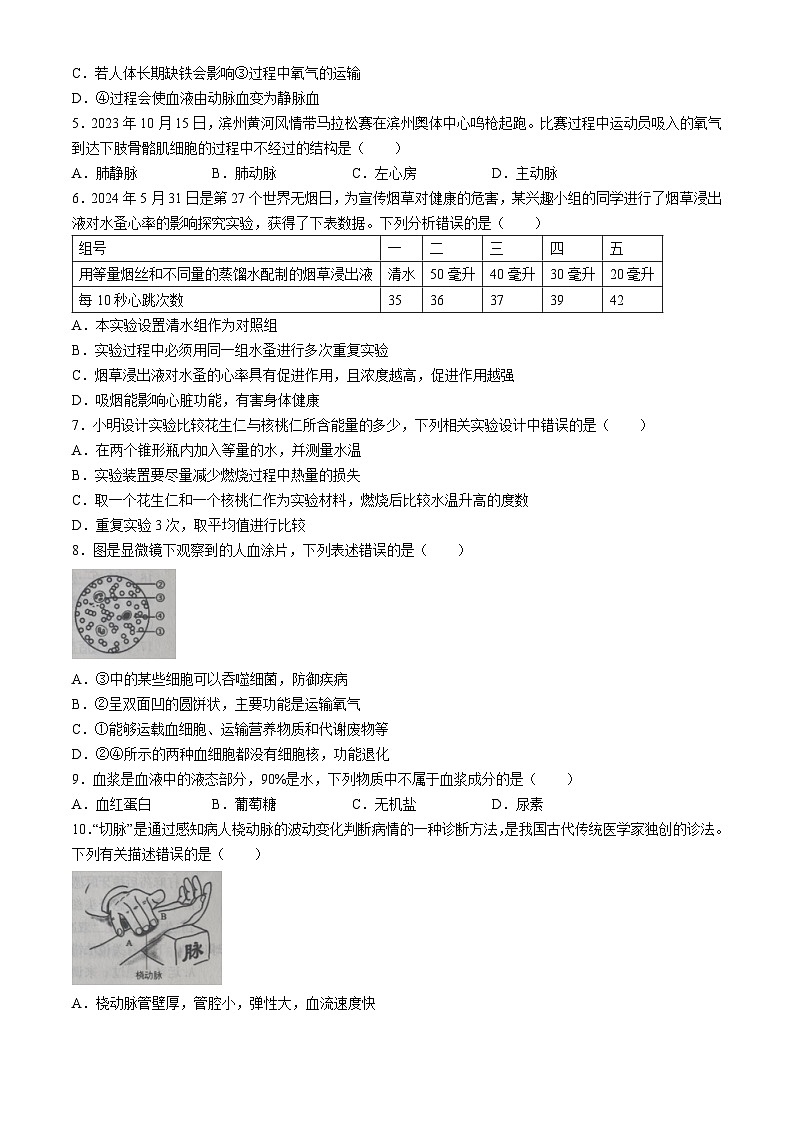 山东省滨州市滨城区2023-2024学年七年级下学期期末考试生物试题02