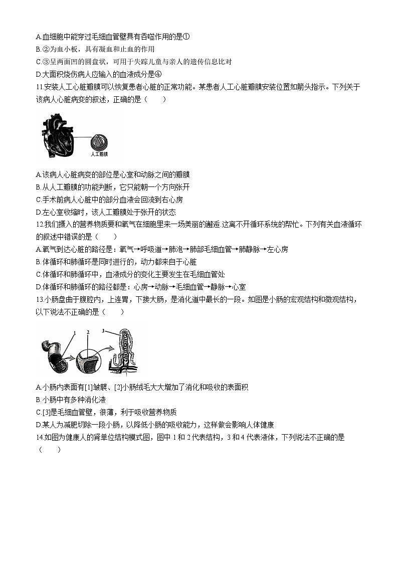 山东省德州市夏津县双语中学2023-2024学年七年级下学期期末考试生物试题(无答案)第3页