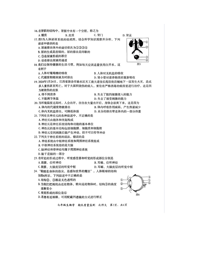 河北省廊坊市霸州市2023-2024学年七年级下学期7月期末生物试题03