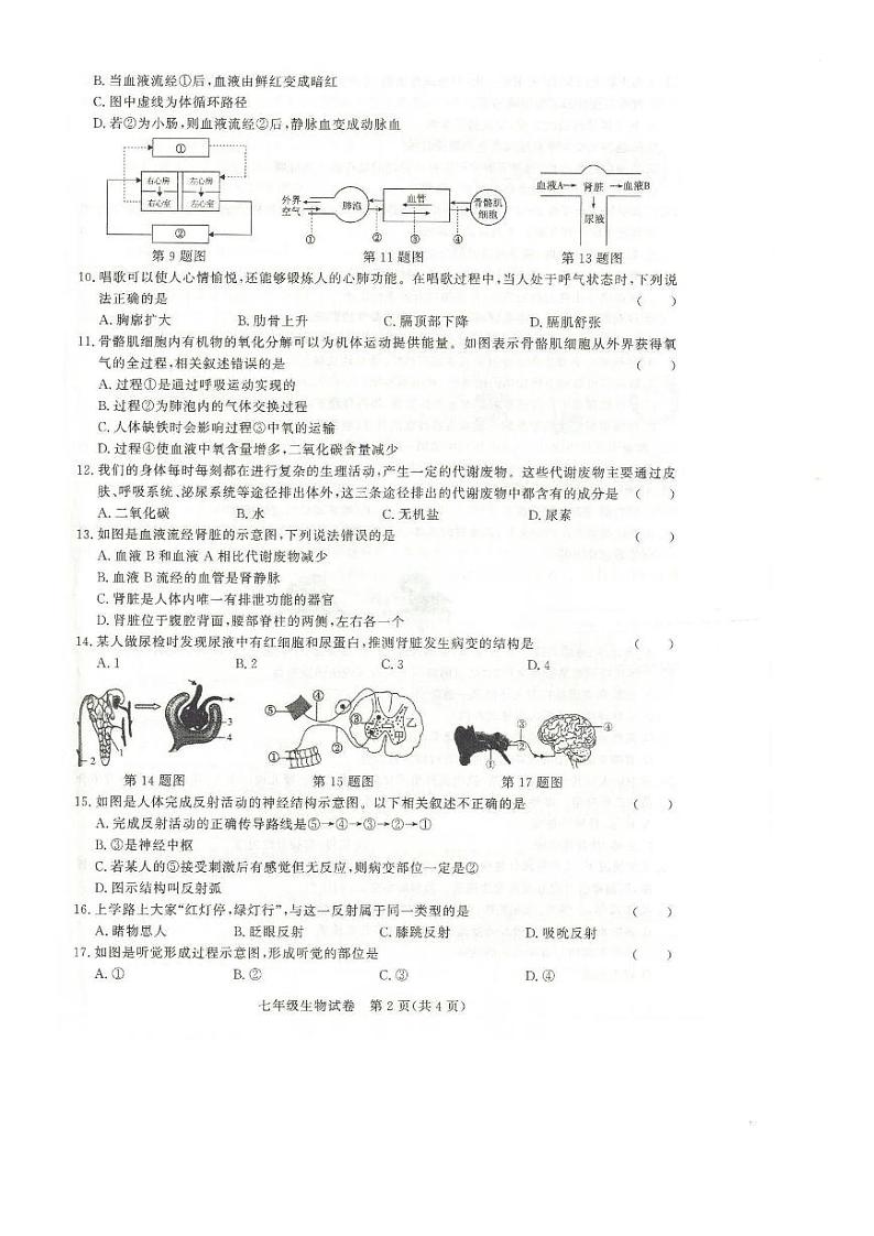安徽省阜阳市太和县2023-2024学年七年级下学期期末考试生物试题第2页