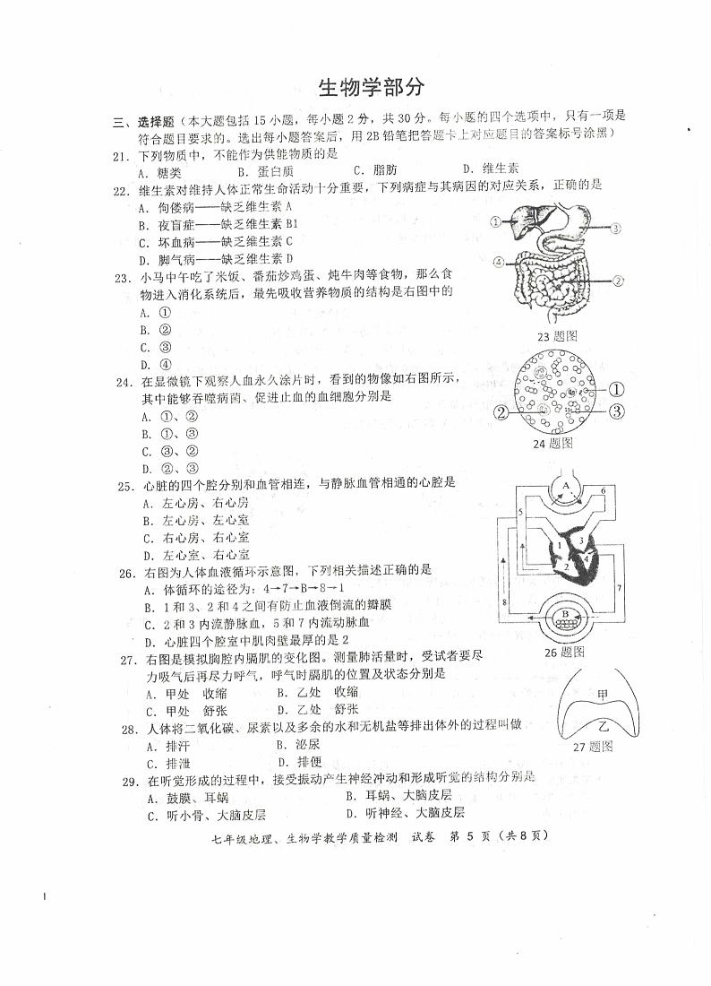 广西防城港市2023-2024学年七年级下学期期末考试生物试卷01