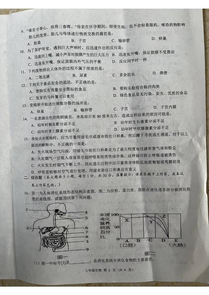 广西南宁市宾阳县2023-2024学年七年级下学期7月期末生物试题第2页