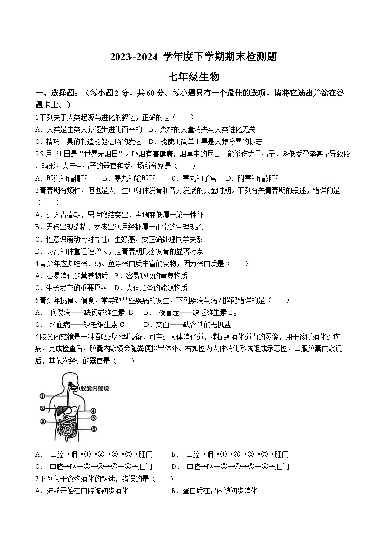 山东省临沂市莒南县2023-2024学年七年级下学期7月期末生物试题第1页