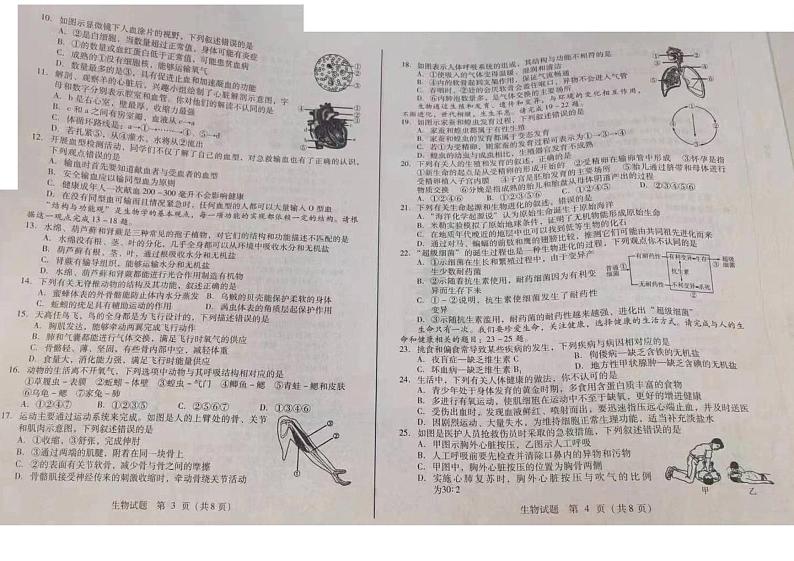 2024年山东省临沂市中考生物试题02