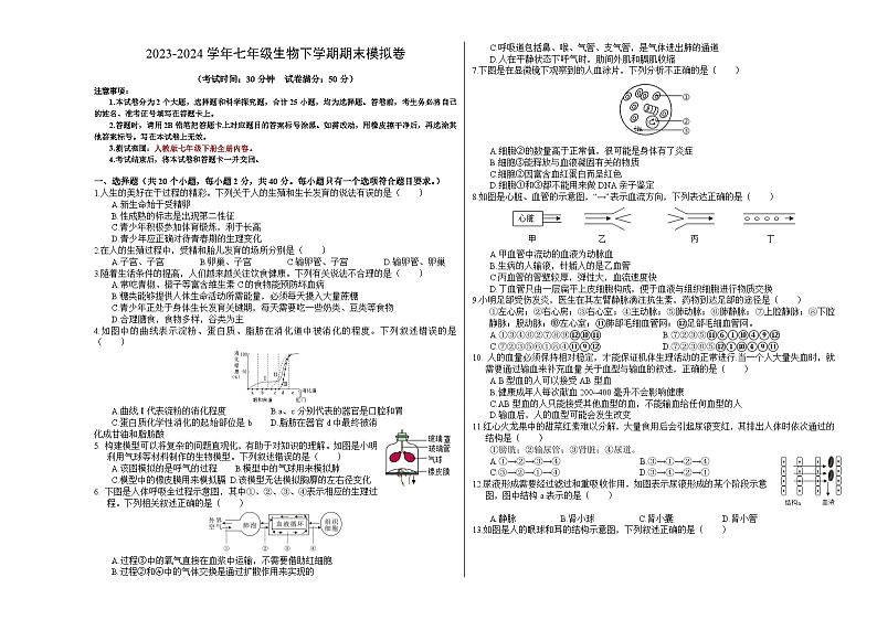 2023-2024学年初中下学期七年级生物期末模拟卷（考试版A3）【七年级下册全册】（人教版2011）第1页