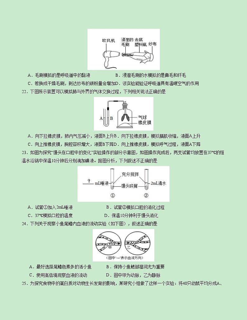 2023-2024学年初中下学期七年级生物期末模拟卷（福建）（考试版A4）【七年级人教版下册】第3页