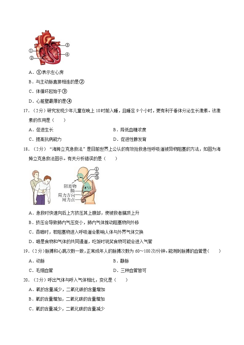 2023-2024学年安徽省合肥市瑶海区七年级（下）期末生物试卷第3页