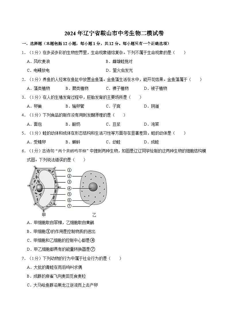 2024年辽宁省鞍山市中考生物二模试卷01