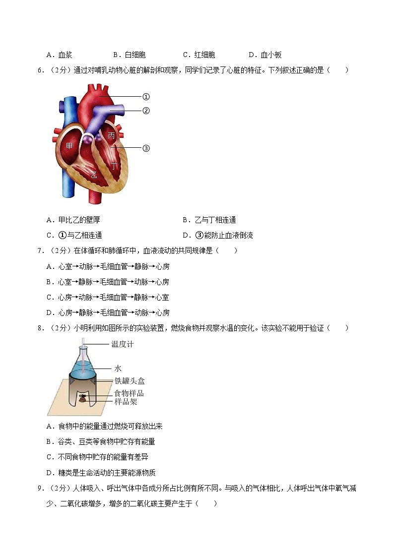 2023-2024学年四川省成都市金牛区七年级（下）期末生物试卷第2页