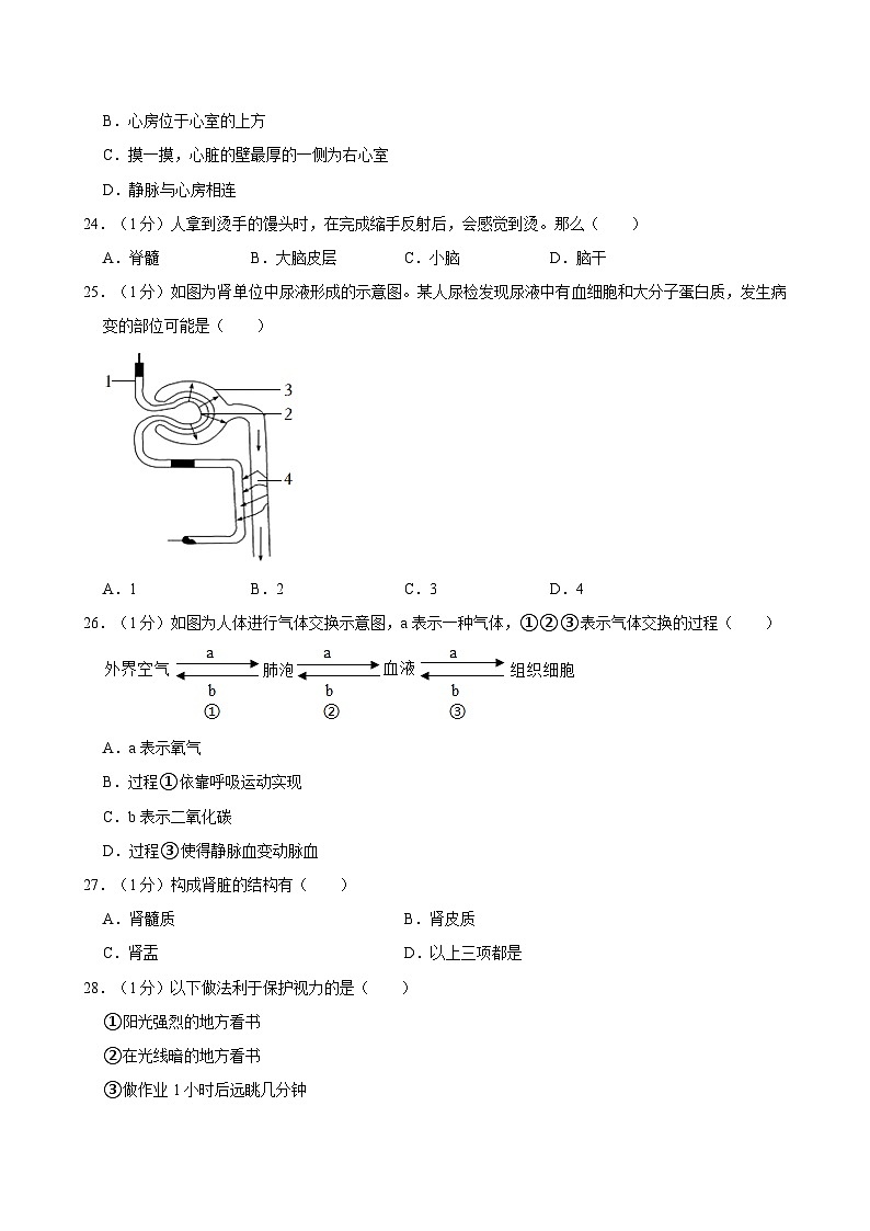 2023-2024学年江苏省南京市玄武区七年级（下）期末生物试卷03
