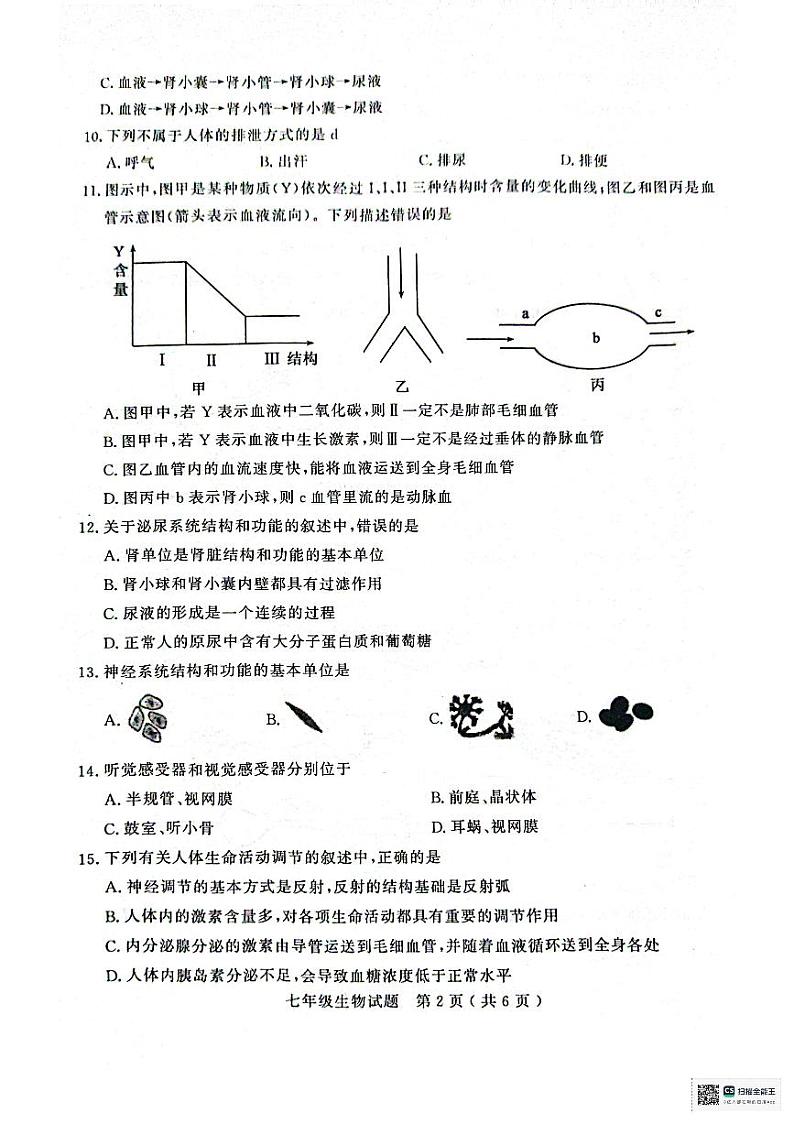 山东省聊城市冠县2023-2024学年七年级下学期7月期末生物试题第2页