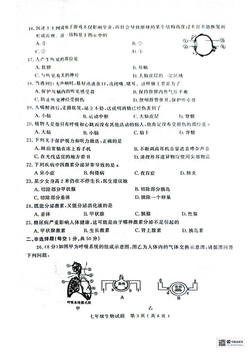 山东省聊城市冠县2023-2024学年七年级下学期7月期末生物试题第3页
