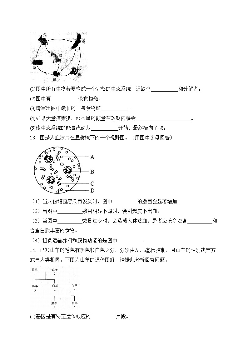 甘肃省酒泉市2024届九年级下学期中考一模生物试卷(含答案)03