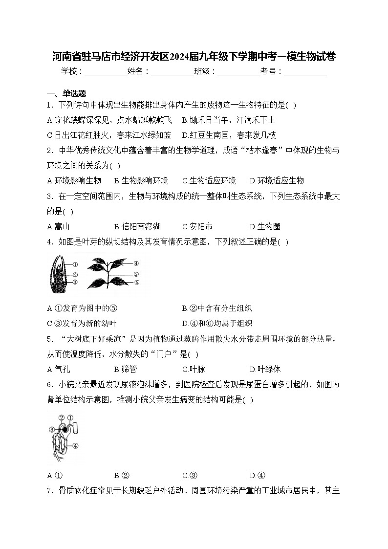 河南省驻马店市经济开发区2024届九年级下学期中考一模生物试卷(含答案)01