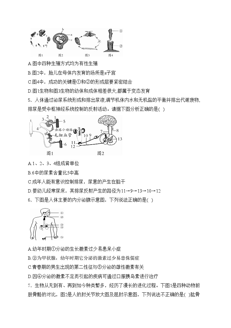 四川省南充市名校2024届中考适应性联考（三）生物试卷(含答案)第2页