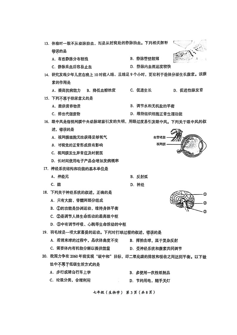 [生物][期末]2024北京海淀初一下学期期末生物试卷及答案03