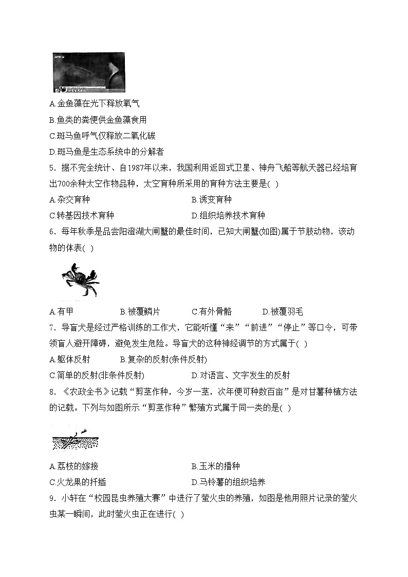 山西省阳泉市多校2024届6月中考模拟考试生物试卷(含答案)第2页