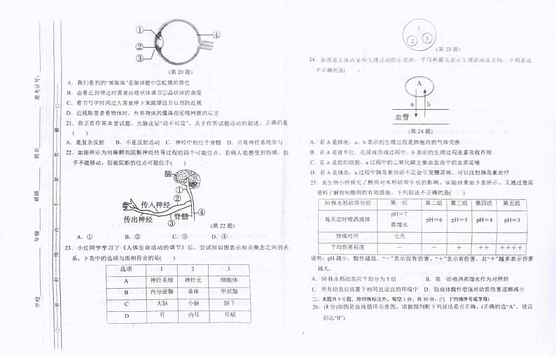 福建省漳州市祺才学校（诏安县中扬英才学校）2023-2024学年七年级下学期第二次月考生物学试卷第3页