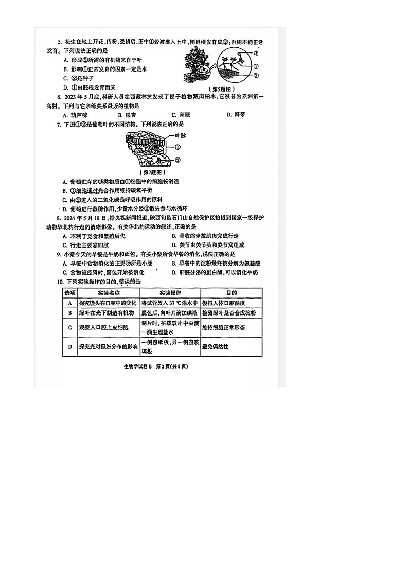 2024年陕西省中考真题 生物试题B卷第2页
