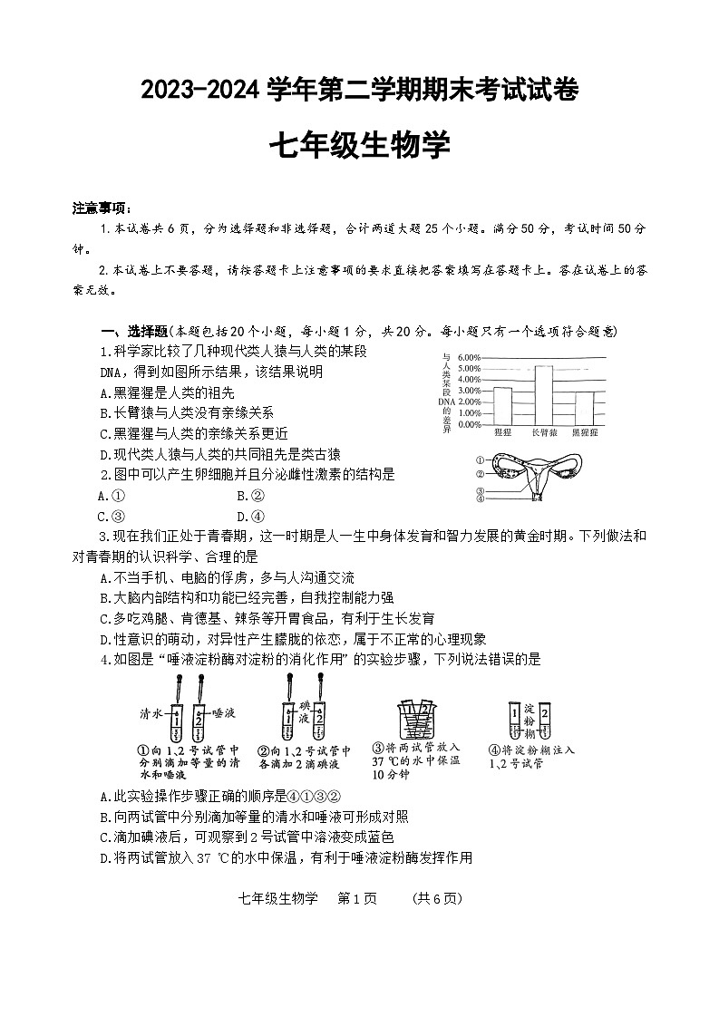河南省濮阳市2023-2024学年七年级下学期7月期末生物试题（含答案）第1页