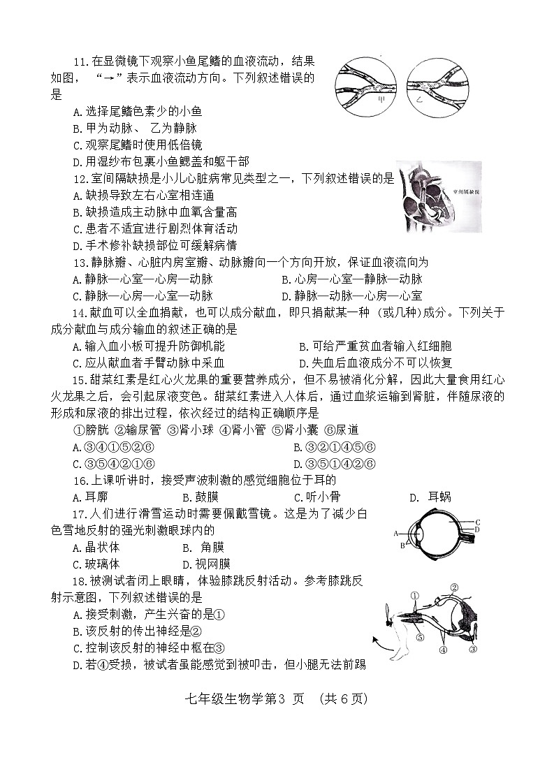 河南省濮阳市2023-2024学年七年级下学期7月期末生物试题（含答案）第3页