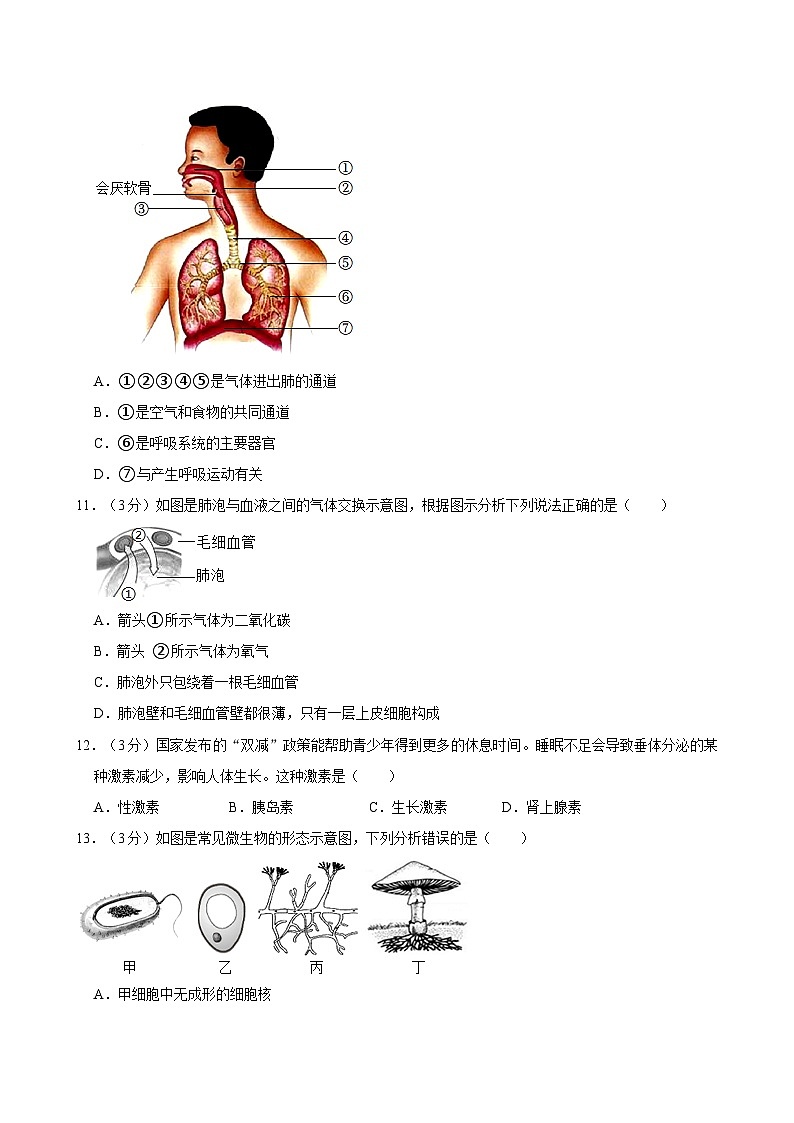 2024年四川省乐山市市中区中考生物模拟试卷第3页
