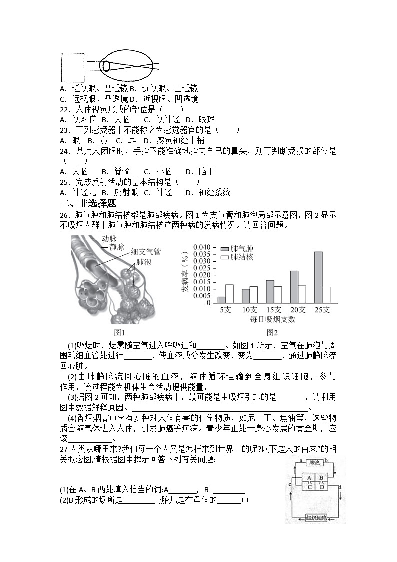 2023-2024学年人教版生物学七年级下册期末复习练习题（含答案）第3页