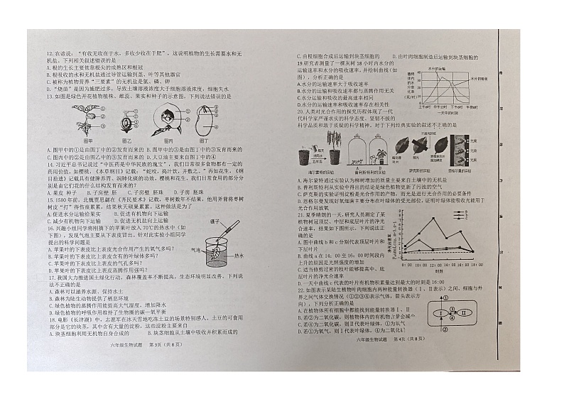 山东省东营市广饶县2023-2024学年六年级下学期期末--生物第2页