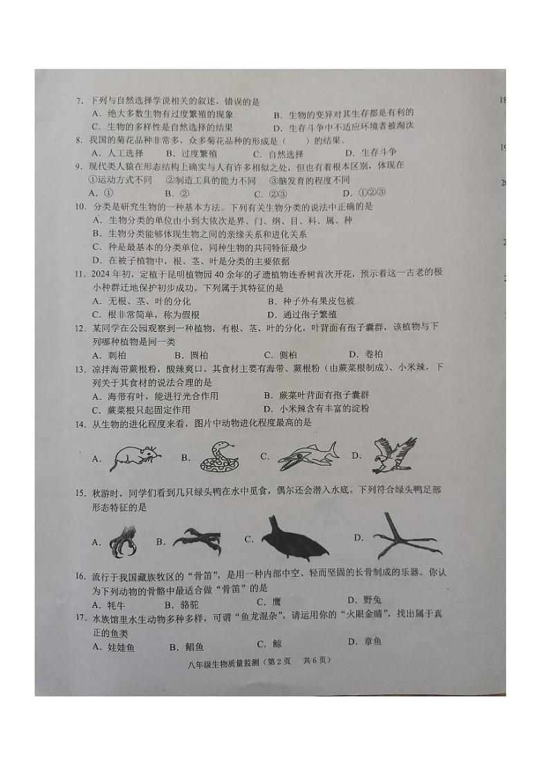 广东省揭阳市普宁市2023-2024学年八年级下学期7月期末生物试题02
