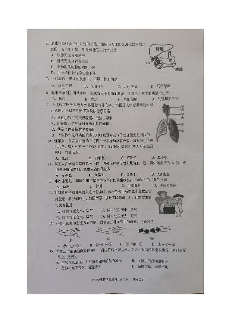 广东省揭阳市普宁市2023-2024学年七年级下学期7月期末生物试题第2页