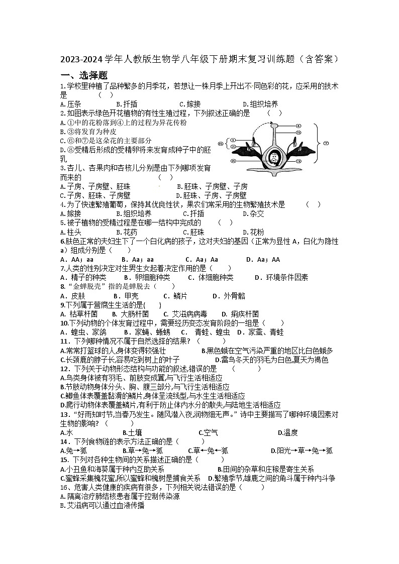 2023-2024学年人教版生物学八年级下册期末复习训练题（含答案）01
