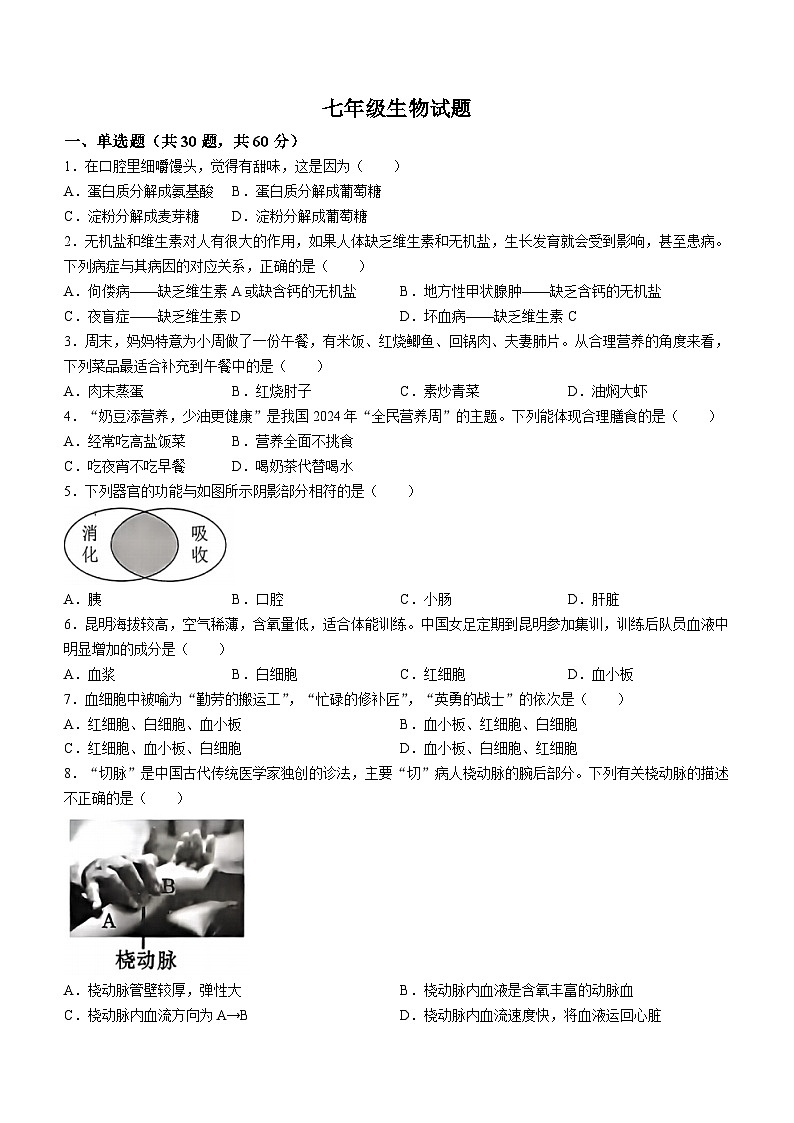 广东省惠州市惠阳区2023-2024学年七年级下学期期末考试生物试题(无答案)01