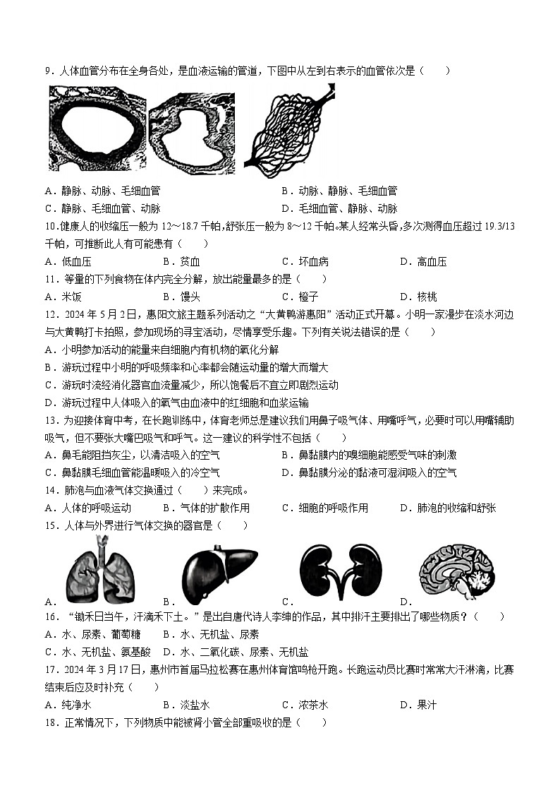 广东省惠州市惠阳区2023-2024学年七年级下学期期末考试生物试题(无答案)02