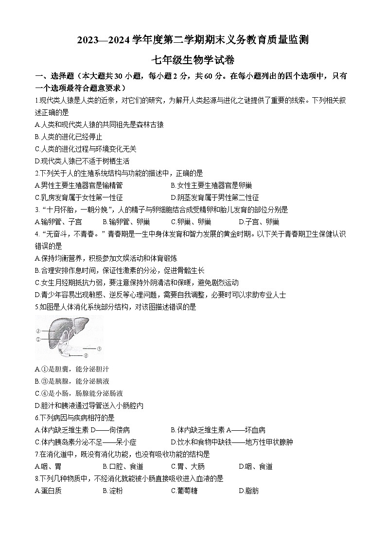 广东省江门市恩平市2023-2024学年七年级下学期期末检测生物试卷(无答案)01